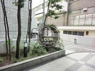 玄関前の植栽