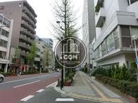 街路樹が立ち並ぶ通り