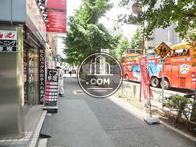 街路樹の多い公道