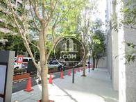 整備された植栽