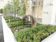 沢山の植物をレイアウト