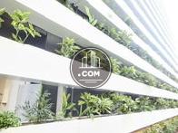植栽の配置されたボーダーライン