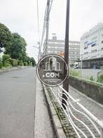 街路樹のある通り