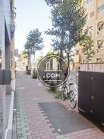 街路樹の点在する前面歩道