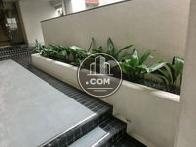 入口付近の植栽です