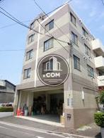 縞々の模様が特徴的です