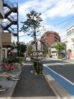 緑の多い通りです