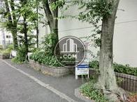 元気に成長した木々が植えられいます