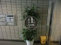 観葉植物が配置されています