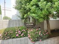 玄関周りには手入れの行き届いた植物で溢れています