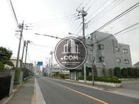 小金井街道沿い