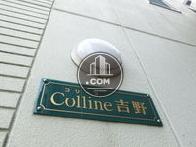 Coline 吉野