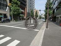 歩道には木々が立ち並びます