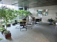 観葉植物が配されており落ち着いた印象を受けます