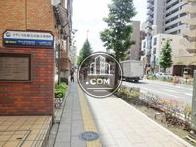 街路樹のある通り