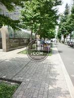 気持ちの良い通り