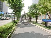 街路樹通り