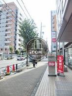 綺麗な通りです