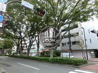 街路樹の多い通り