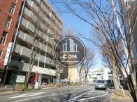 街路樹通り