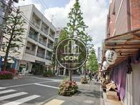 きちんと整備された、心和む並木道です