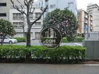 玄関から正面の風景です