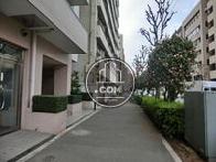 空蝉橋方向の歩道です