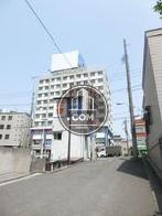 脇道沿いの傾斜面