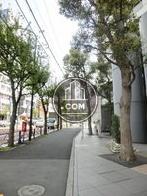 街路樹のある公道沿い