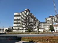 大きな建物です