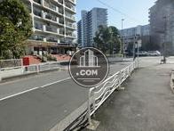南西側に面する道路