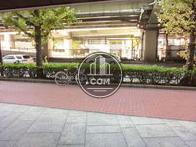 前面の通りを見た光景です