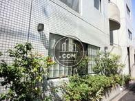 植栽がは配置されている歩道横