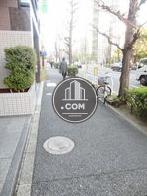 街路樹が立ち並ぶ通り