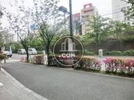 山手線路沿いです