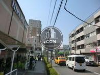 敷地南側の道路です