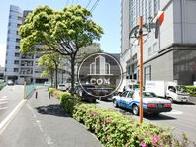 街路樹のある歩道
