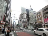 全面道路渋谷方面です