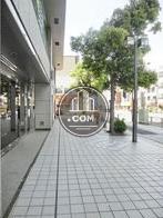 街路樹のある玄関前通り