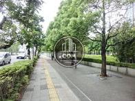 街路樹の多い歩道