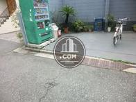 歩道との間に段差はありません