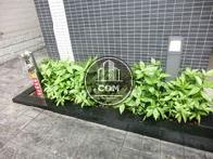鮮やかな緑が植えられています