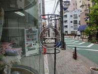 東通りです