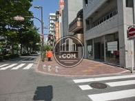木々の立ち並ぶ、気持ちの良い道路です
