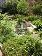 色々な植物が配置されています