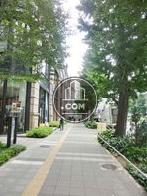 緑に囲まれています