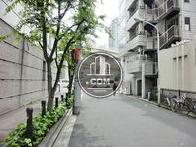 街路樹のある通り