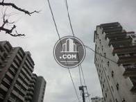 通り沿いには背の高いビルが多数立っています