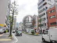 街路樹なる通り