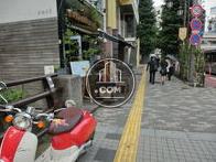 橋のある周辺はとても落ち着いた環境です